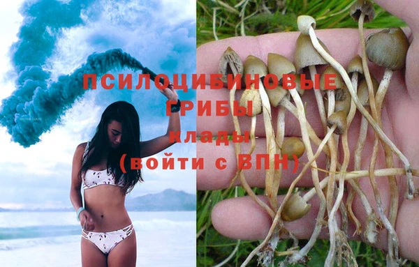 mdpv Верея