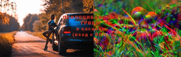 mdpv Верея